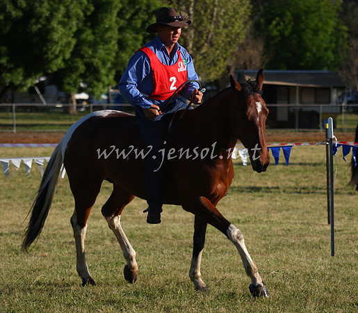 bobsat_0054_edited-1