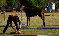 bobsat_0121_edited-1