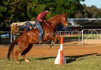 bobsat_0021_edited-1