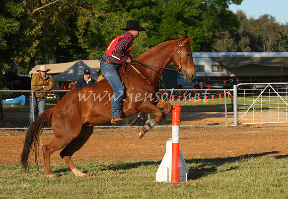 bobsat_0021_edited-1