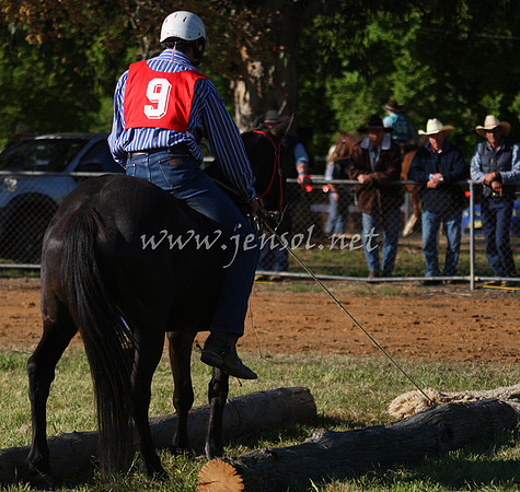 bobsat_0216_edited-1