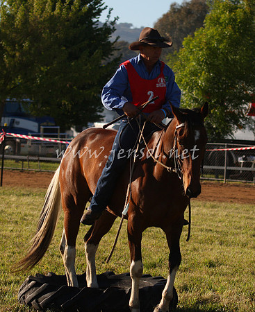 bobsat_0037_edited-1