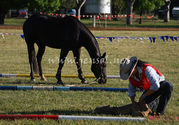 bobsat_0158_edited-1