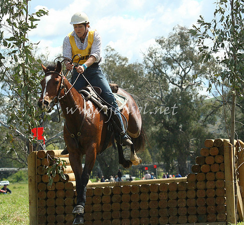 bobsat_0479_edited-1