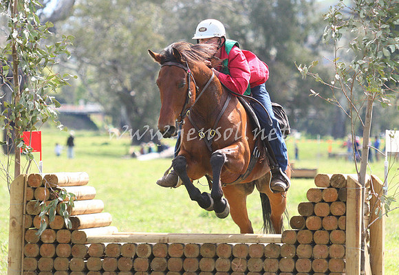 bobsat_0627_edited-1