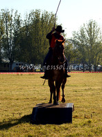 bobsat_0009_edited-1