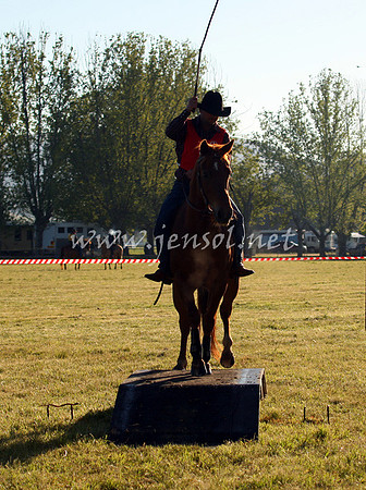 bobsat_0009_edited-1