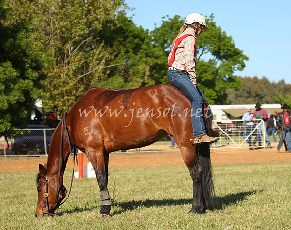 bobsat_0237_edited-1