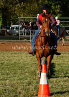 bobsat_0020_edited-1