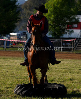 bobsat_0010_edited-1