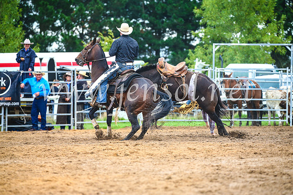 BraidwoodRodeo2017_1873