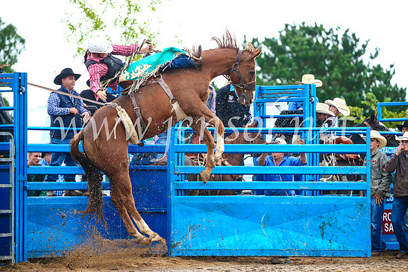 BraidwoodRodeo2017_1928