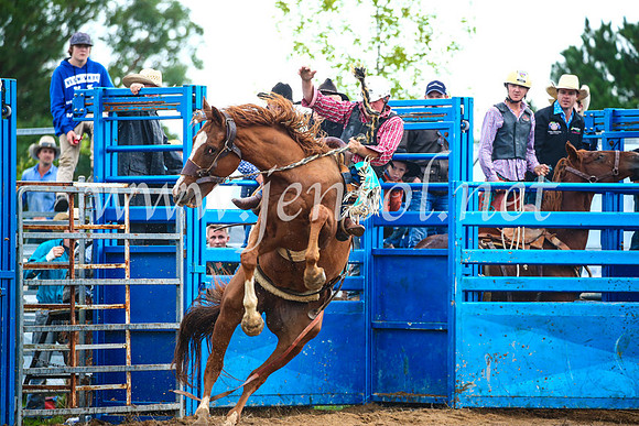 BraidwoodRodeo2017_1962