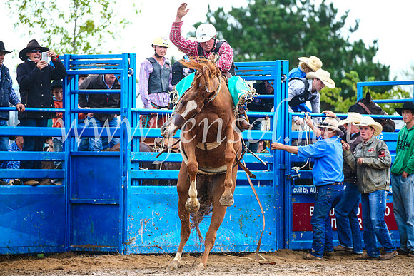 BraidwoodRodeo2017_1971