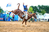 BraidwoodRodeo2017_1882