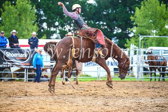 BraidwoodRodeo2017_2005