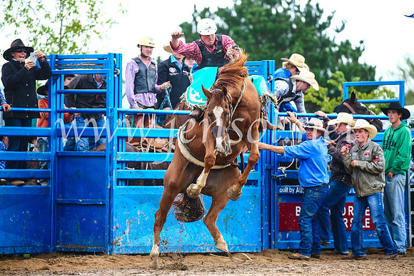 BraidwoodRodeo2017_1967
