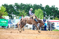 BraidwoodRodeo2017_1825