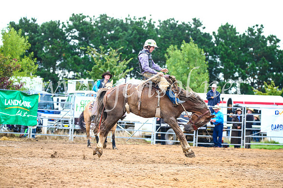 BraidwoodRodeo2017_1825