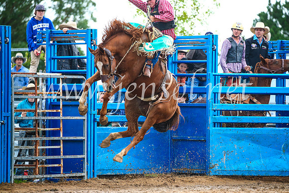 BraidwoodRodeo2017_1943