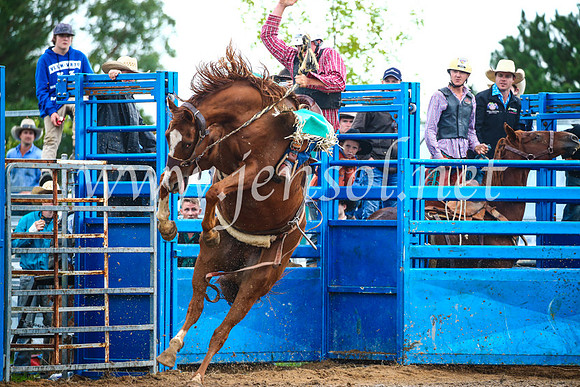 BraidwoodRodeo2017_1945