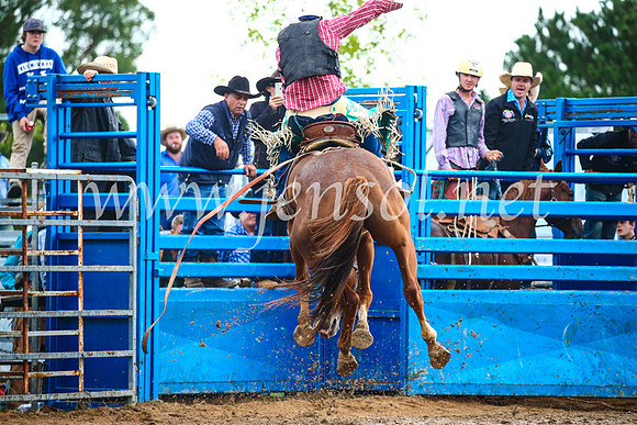 BraidwoodRodeo2017_1957