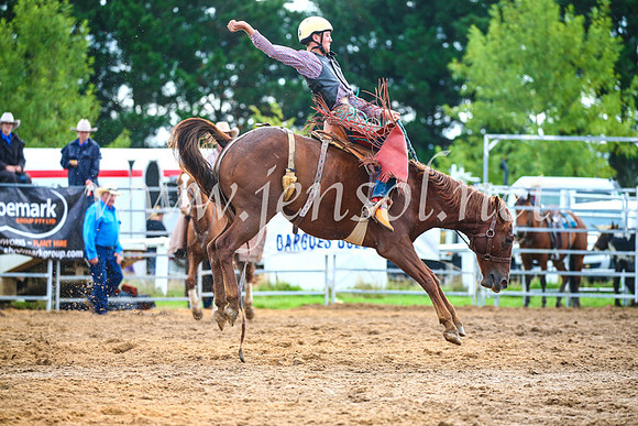 BraidwoodRodeo2017_2007