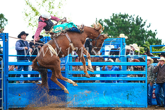 BraidwoodRodeo2017_1927