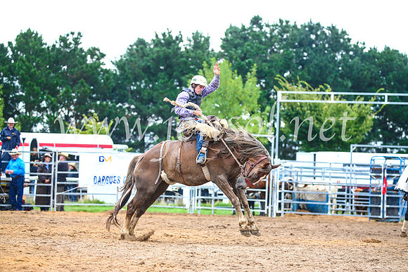 BraidwoodRodeo2017_1843