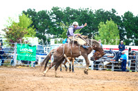 BraidwoodRodeo2017_1831