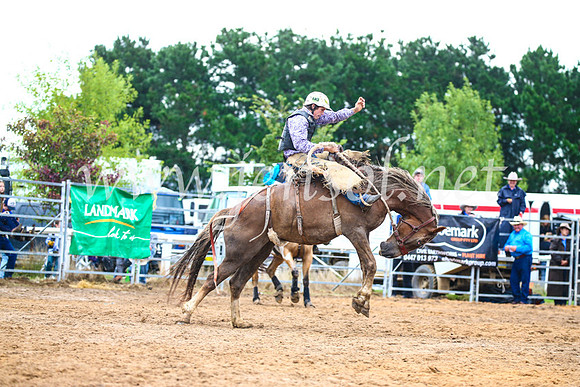 BraidwoodRodeo2017_1831