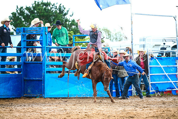 BraidwoodRodeo2017_1990