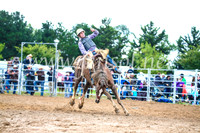 BraidwoodRodeo2017_1835