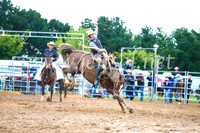 BraidwoodRodeo2017_1849
