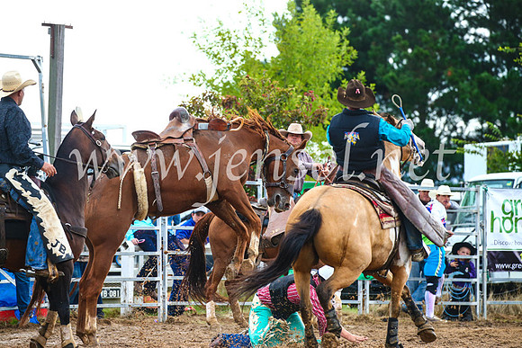 BraidwoodRodeo2017_1985