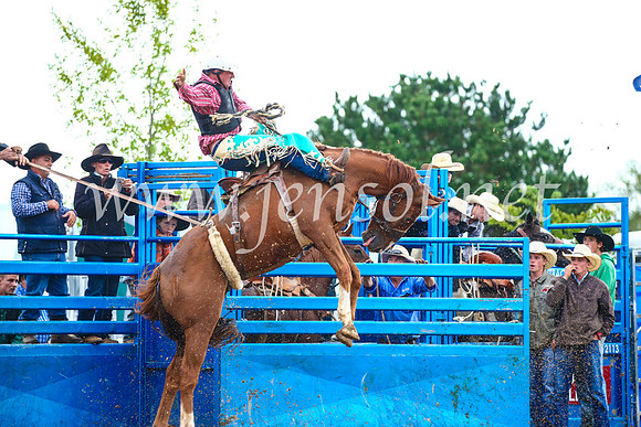 BraidwoodRodeo2017_1935