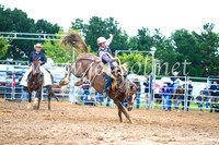 BraidwoodRodeo2017_1847