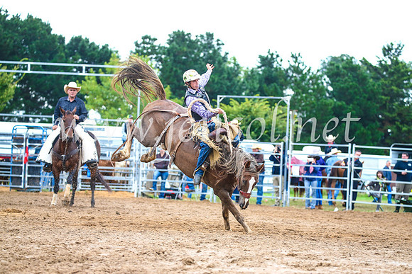 BraidwoodRodeo2017_1847
