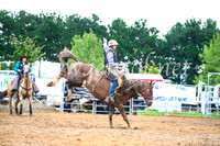 BraidwoodRodeo2017_1828