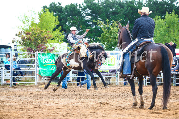 BraidwoodRodeo2017_2023