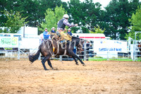 BraidwoodRodeo2017_1853