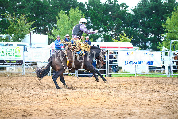 BraidwoodRodeo2017_1853