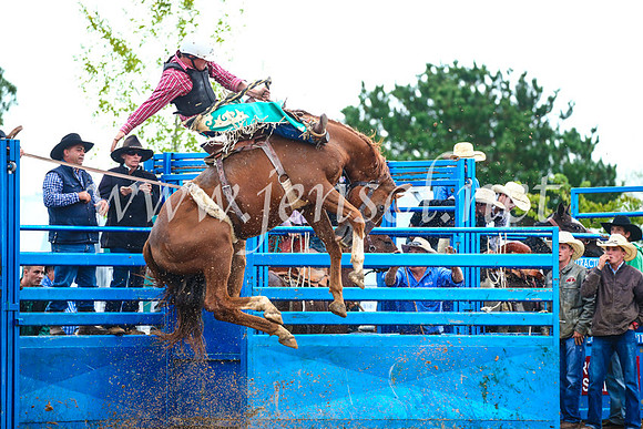 BraidwoodRodeo2017_1926