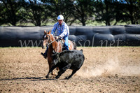 GoulburnCampdraft2017_3571