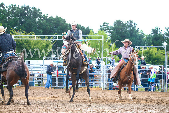 BraidwoodRodeo2017_2043