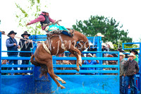 BraidwoodRodeo2017_1925