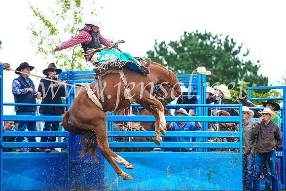 BraidwoodRodeo2017_1925