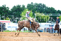 BraidwoodRodeo2017_1842