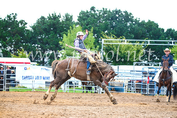 BraidwoodRodeo2017_1842