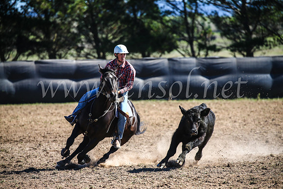 GoulburnCampdraft2017_3665